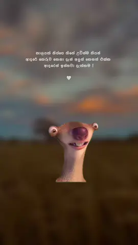 සතුටින් ඉන්න ඕනේ..!🥹🫶🏻#whatsappstatusvideo #quotes #srilanka #onemillionaudition #sinhala 