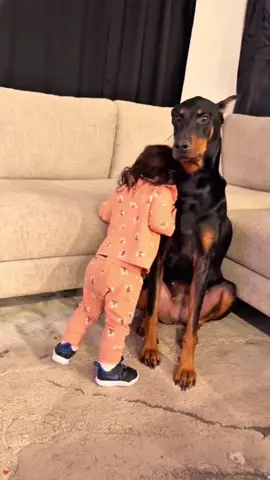 Sweet friendship❤️🥰#dog #Love #baby #bestfriend #lovestory 
