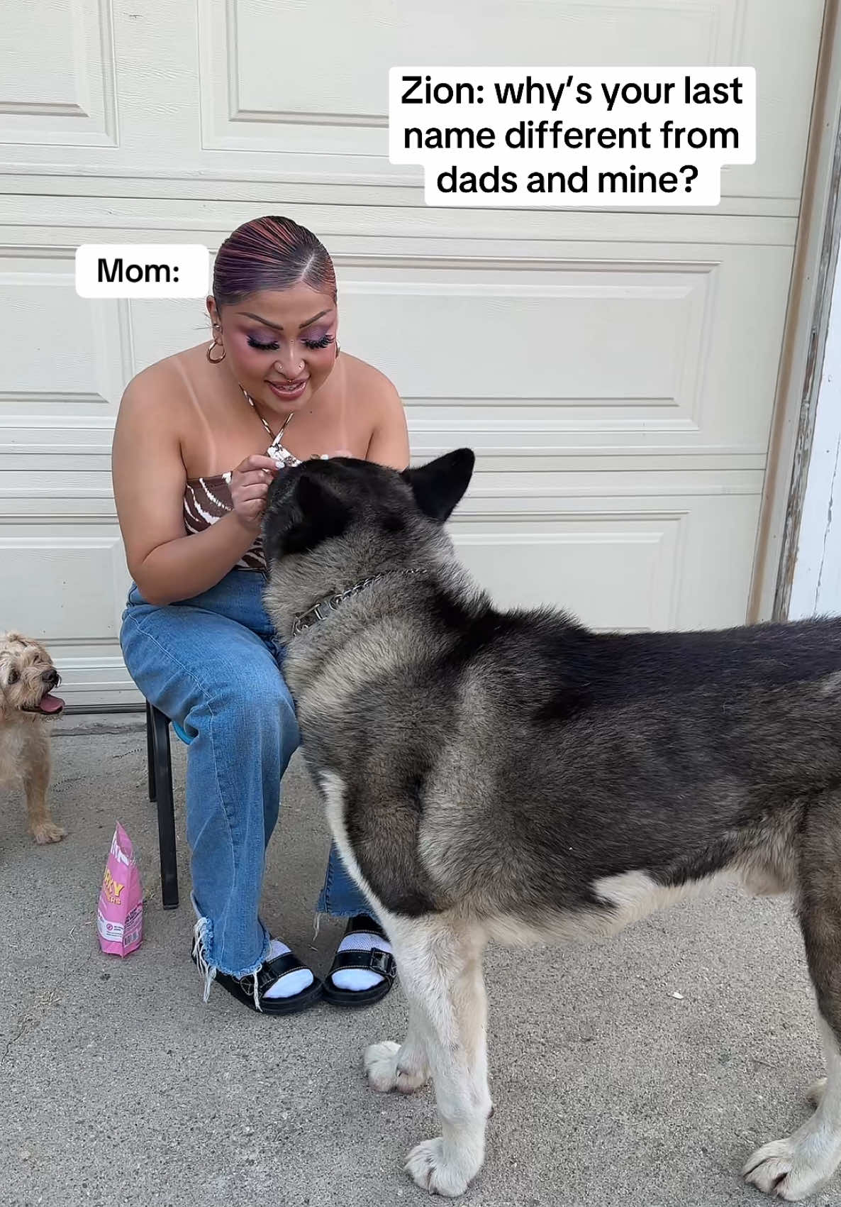 Zion gotta ask Anthony this question…not me🤣👀 #ziontheakita #americanakita #akita #relatable 