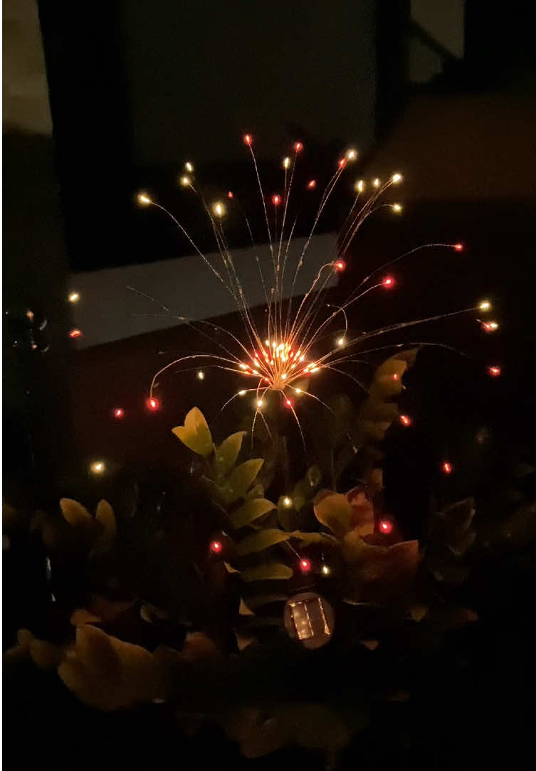 LED Solar Garden Christmas Lights | Waterproof Fireworks Lamp ✨ #gardenlights #christmaslights #solarlights 
