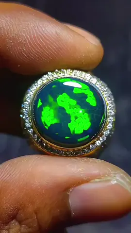 Black Opal Sisik lebah  #blackopal #fyp #kalimaya #sarangmadu 