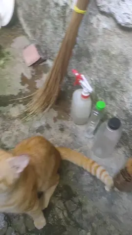 Embul lagi manja🥰🥰