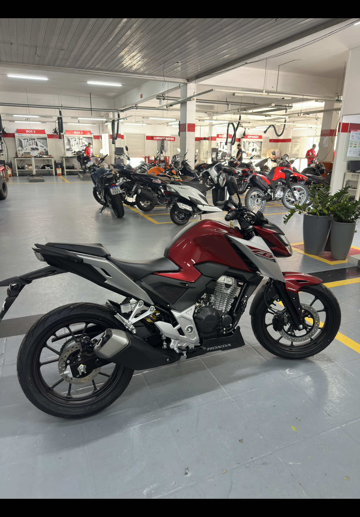 Nova Twister 300f 2026 😍❤️🚀 O que vcs acharam? Comenta aí 👆🏻 . . #twinster2026 #lancamento #honda #motos #realizacaodesonho 