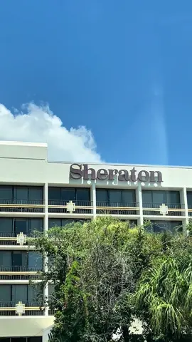 Sheraton Orlando Lake Buena Vista Resort #poolday #resort #sheratonhotel #vacationvibes 