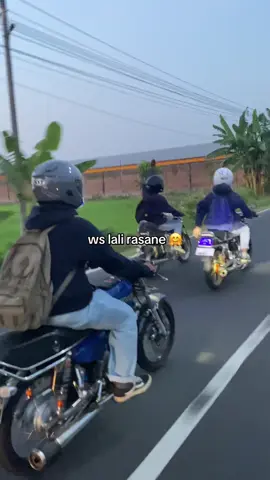ws sui ora 🫢