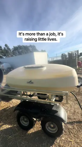 Calf rearer’s diary! #calfrearer #dairyfarming #newzealand #dairyqueen #fyp #tractorbabe #mynzlife 