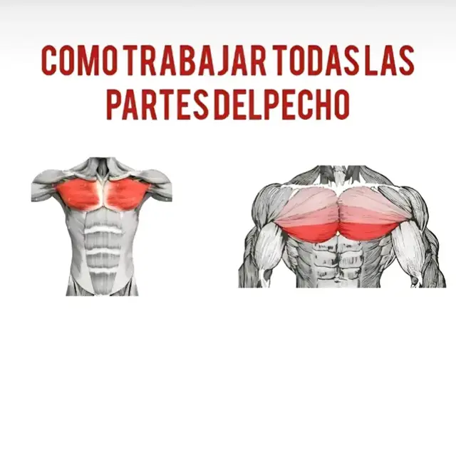 #pecho #ejercicio  #masamuscular #hipertrofia 
