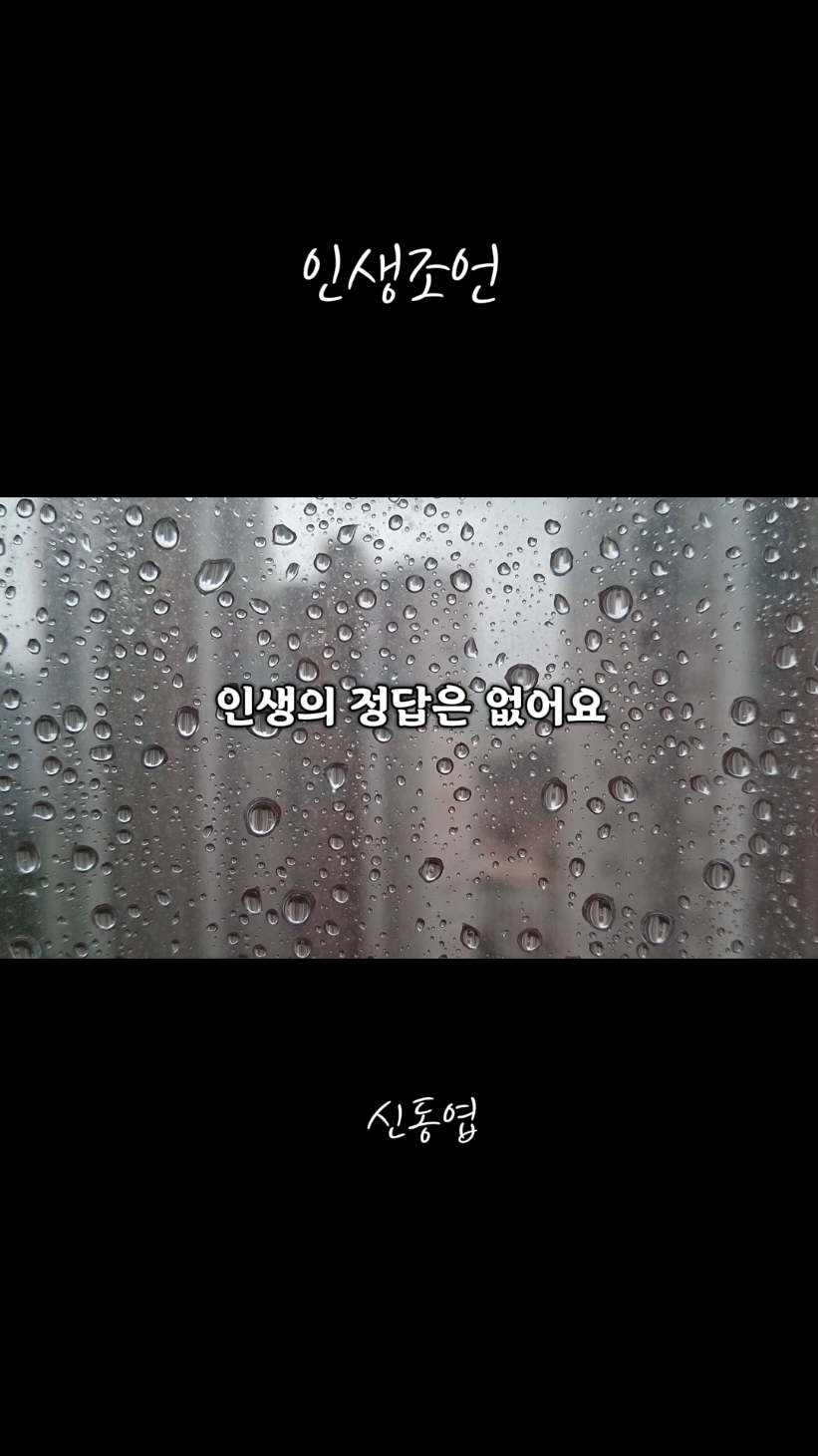 인생에 정답은 없어요 #인생조언 #선택 #삶의지혜 #결정 