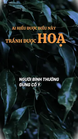 Phước hay hoa là do ta#ngộđểan #phatphapnhiemmau #cliptrieuwiew #caunoihay #xuhuongtiktok 