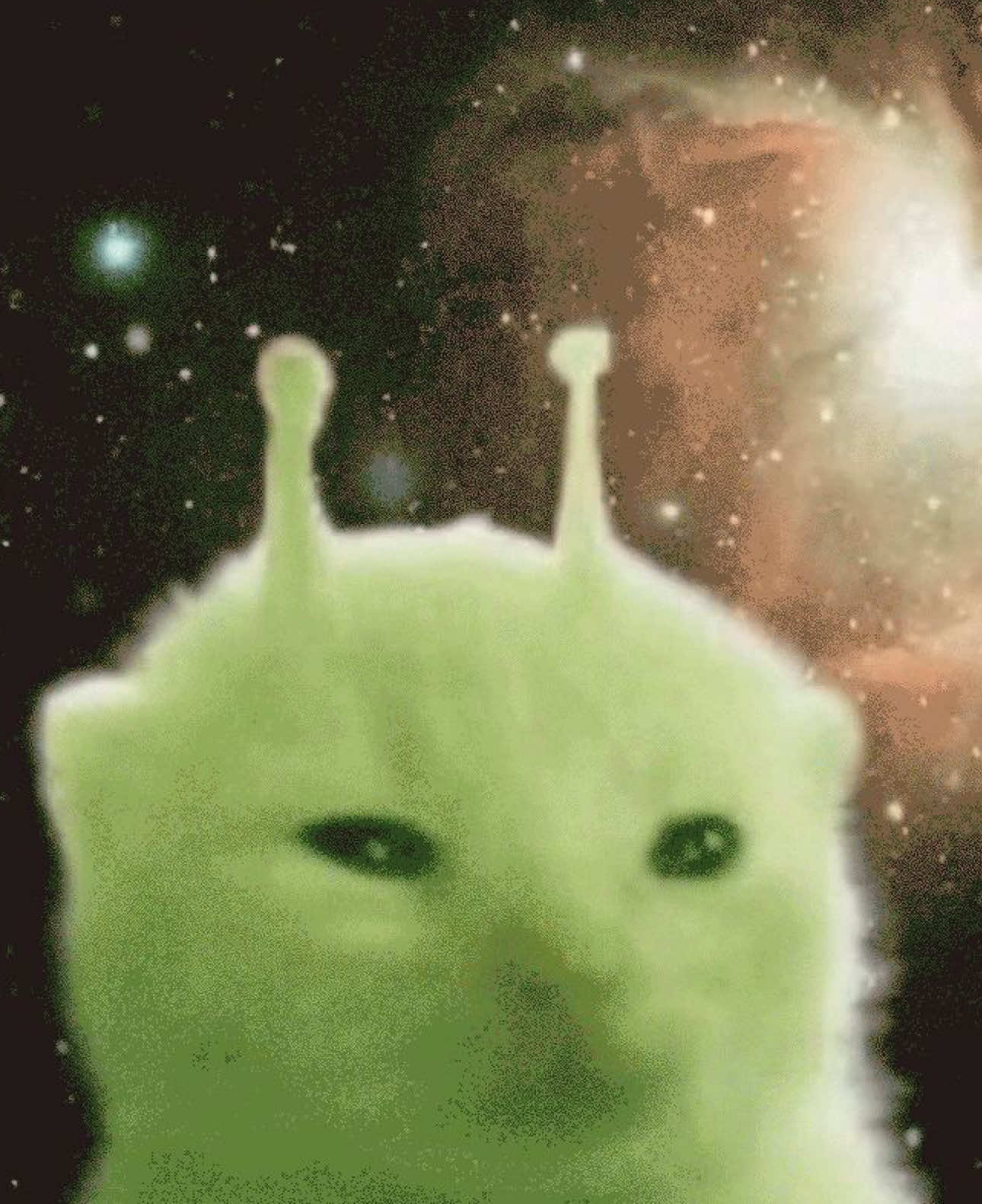 glorp #foryoupage #targetaudience #catsoftiktok #cat #fypシ 