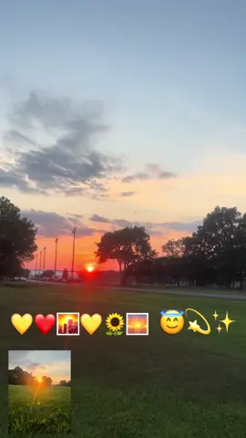🌻💛🌇💫✨😇🌅