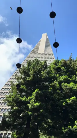 San Francisco Sunday. Transamerica building, Eames Institute exhibit, Washington Square in North Beach #sanfrancisco #northbeach #sunday 