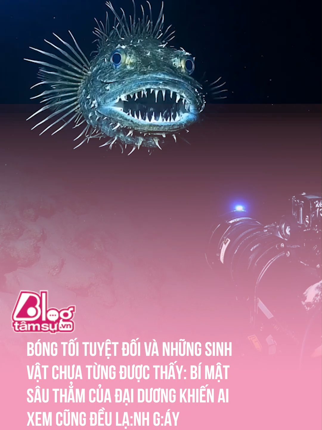 Bí ẩn dưới đáy biển sâu 🥶 #tqdshni #btsmedia #blogtamsu #discovery #khampha #video #viral #videoviral #trending #xuhuong #clips #facts #fact #khoanhkhac #explore #explorer #exploration #ocean #deep #deepsea #sea #animal #animalsoftiktok