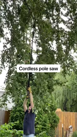 Today only, grab the SoarFly 2-in-1 Cordless Pole Saw and Mini Chainsaw on flash sale. My husband loves his new toy for tackling branches, and it’s easy to see why. The SoarFly packs more cutting power with an 8-inch chainsaw bar, compared to the 6-inch size most competitors offer. Plus, the 10-foot extension pole reaches higher than many others, making tree trimming simple. With 2 rechargeable batteries included, you get cordless freedom and lasting power. Don’t miss the sale price while it’s still live