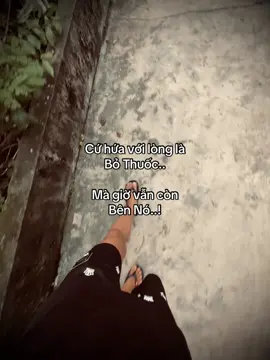 #xh #xhtiktok #fyp #viral 