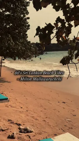 SL beach vibes of 80’s 🏝️☀️ . . .  #miltonmallawarachchi #srilanka #calmnature #beachvibes #fypシ 