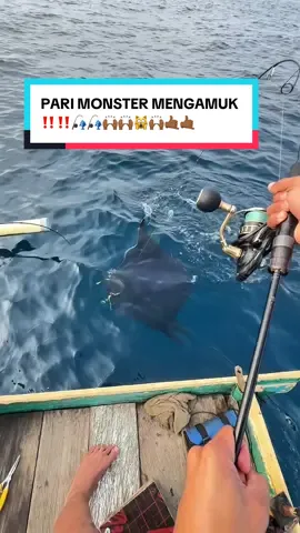 masih terngiang ngiang sisa tenaga yg di keluarkan setelah  hampir sejam lamanya fight 😁😃🙌🏾🙌🏾🤙🏾🎣🎣 •set tackel yg di gunakan• reel: daiwa bgsw6000d-h/ daido kingpredator 400xl joran: daiwablast pe 0,6-1,5 / daido kraken pe0,8-1,5 line pe: 2,5 tridentech chikarax8 / pe3 kertang lure: wdjig 200gr/150gr #sportfishing #lightjigging #jigging #fyp 