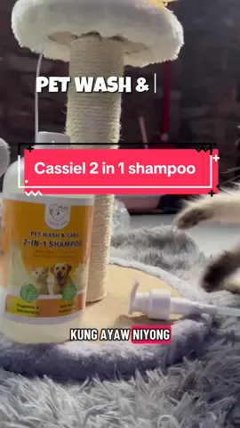 Cassiel pet 2 in 1 shampoo                 Cassiel shampoo for cats    Cassiel for ticks and flea@cassielive #cassielpetph #cassielpet #cassielpetshampoo #petsupplies #petshampoo 