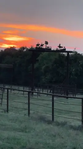 #southernsky #texas #sunset #fyp #glencampbell 