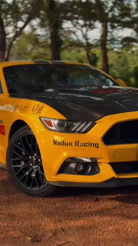 ගොඩක් දුරගිහින් ❤️#🇱🇰#srilanka #nightride #mustanggt_50th_anniversary cctv forage:-@Dunith_2003 thanks bro..