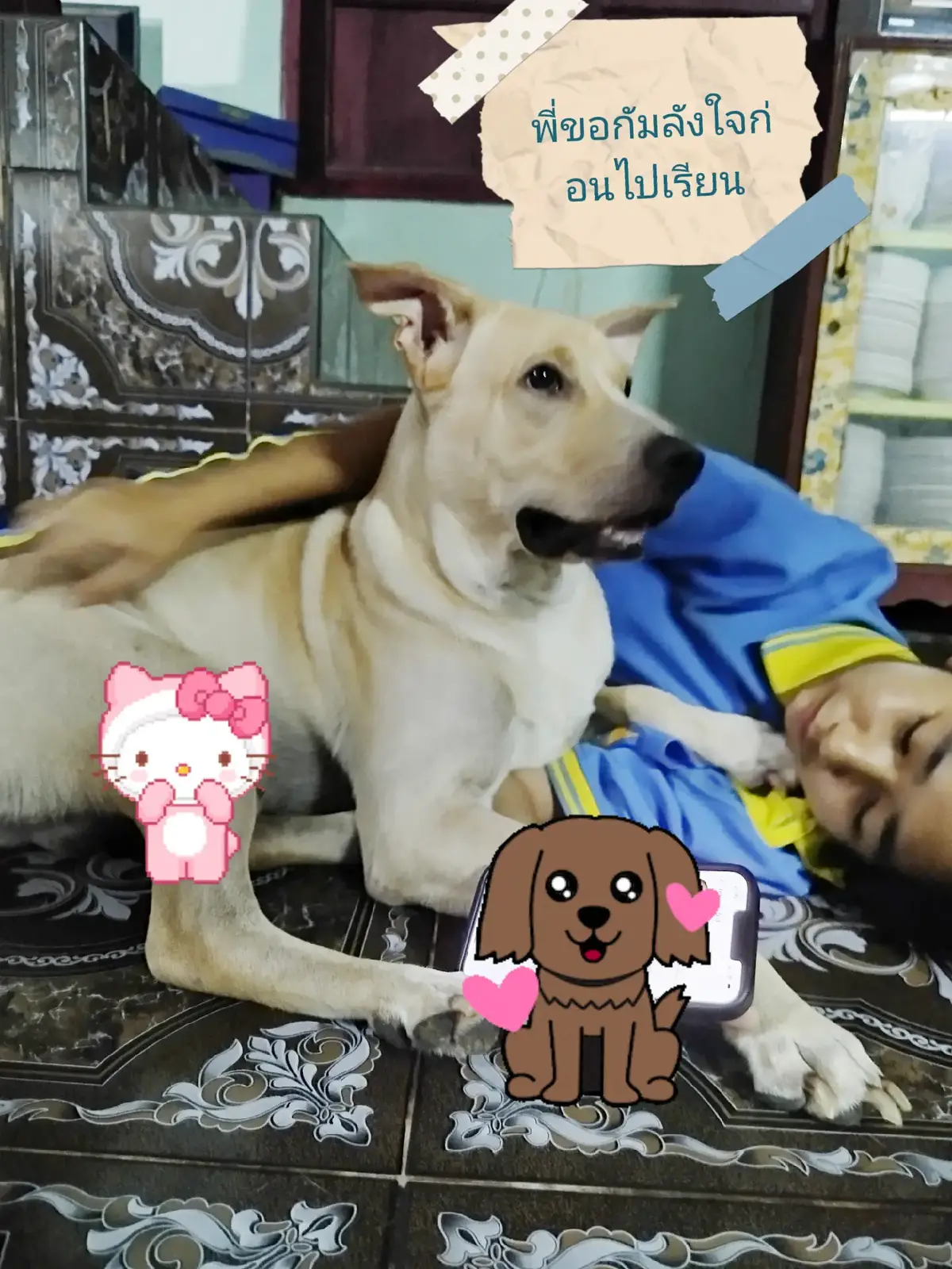 🐶🐶🐶🐶#เปิดการมองเห็น #เปิดการมองเห็นเถอะ #นายหน้าtiktokshop #ti̇ktok 