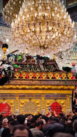 #السلام_عليك_يا_ابا_الفضل_العباس_ع #ياقمر_بني_هاشم #كربلاء_المقدسة #تصويري #صوت_احساس_وي_عباس♡ 