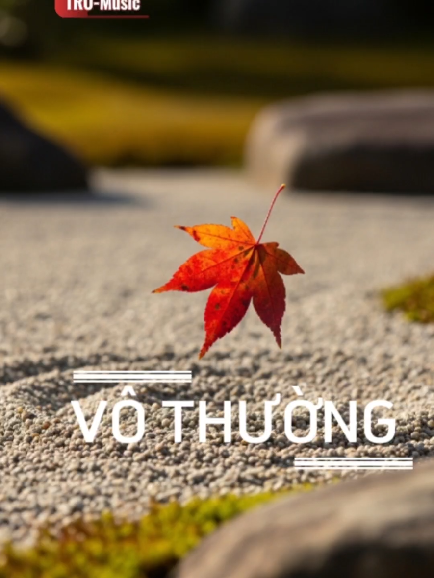VÔ THƯỜNG  TRO-Music #vothuong  #nhacmoi   #xuhuong  #trending  #tromusic 