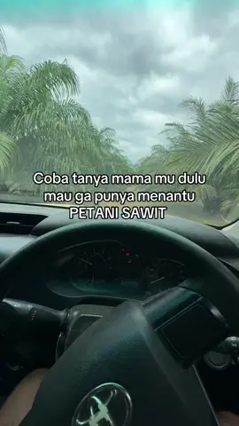 #sawitontiktok #sawitriau #sawitkalimantan #sawit #sawitriau 