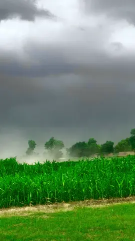 Mosam ⛈️☁️🥀❤️#میرا_سوہنا_شہر_مروٹ🌱✌️ #dont_underview_my_video #foryou #foryoupage #fypシ゚viral #unfrezzmyaccount 
