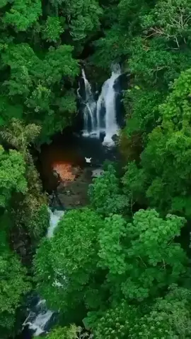 # 𝗹𝗺𝗮𝗴𝗶𝗻𝗲... 𝗹𝗶𝘃𝗶𝗻𝗴... 𝗶𝗻... 𝗮... 𝗽𝗹𝗮𝗰𝗲.... 𝗹𝗶𝗸𝗲... 𝘁𝗵𝗶𝘀𝗹.... 👌🌴🌱🍃#support #accountant #viraltiktok 