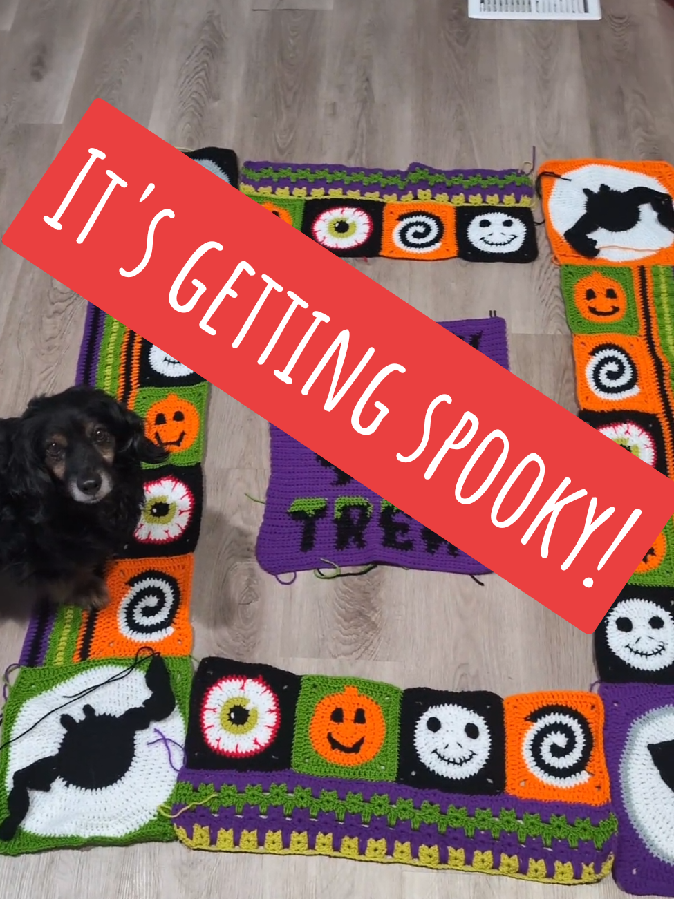Replying to @katiesyarntails This is turning out so well! @Sirdar @Happycrochetlady #sirdarcrochetalong #sirdarcrochetalong2025 #crochetersoftiktok #happyhooking 