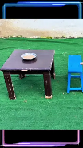 Test IQ DOG - baby dog #dogs #pets #petfunnys #dogsoftiktok #butebisu 