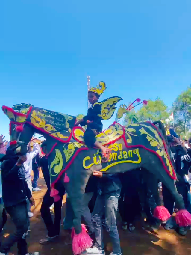 Kuda renggong Desa Cikandang#karnaval