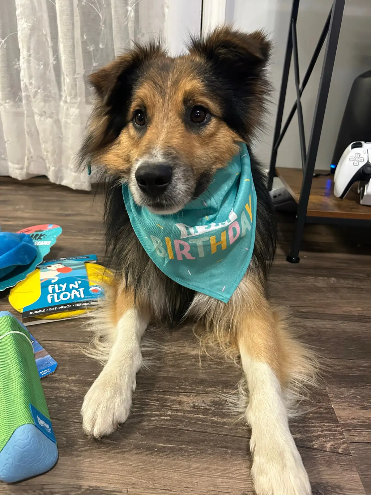 It’s my sons second birthday. Show some love in the comments🩵 #birthdayboy #happybirthday #theterribletwos #secondbirthday 