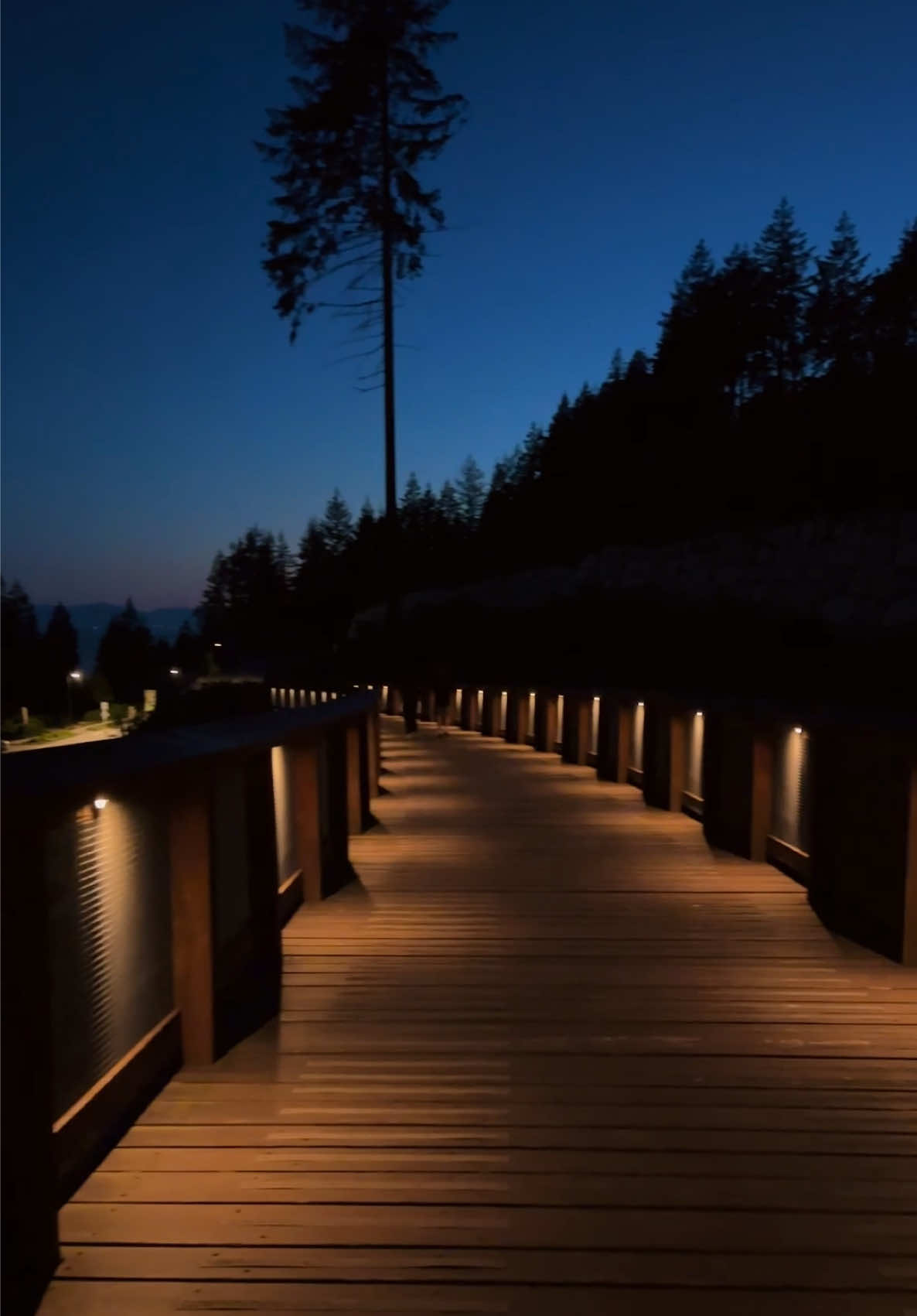 Trestle Bridge at night 🔥 . . . #trestlebridge #vancouver #views #northvancouver #romantic 
