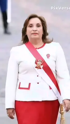 Dina BOLUARTE papasito#peru #POLITICA #izquierda 