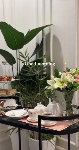 صباحكم كل ماهو جميل صباحكم خير وسعاده وراحة بال يارب 🥰🥰🥰🥰 #صباحكم_سعادهـ🌸🍃  #صباح_العظمه  #صباحياتي🌸🎼  #عوداً_حميداً_للدوام  #اكسبلوررررررررررررررررررررررررر 