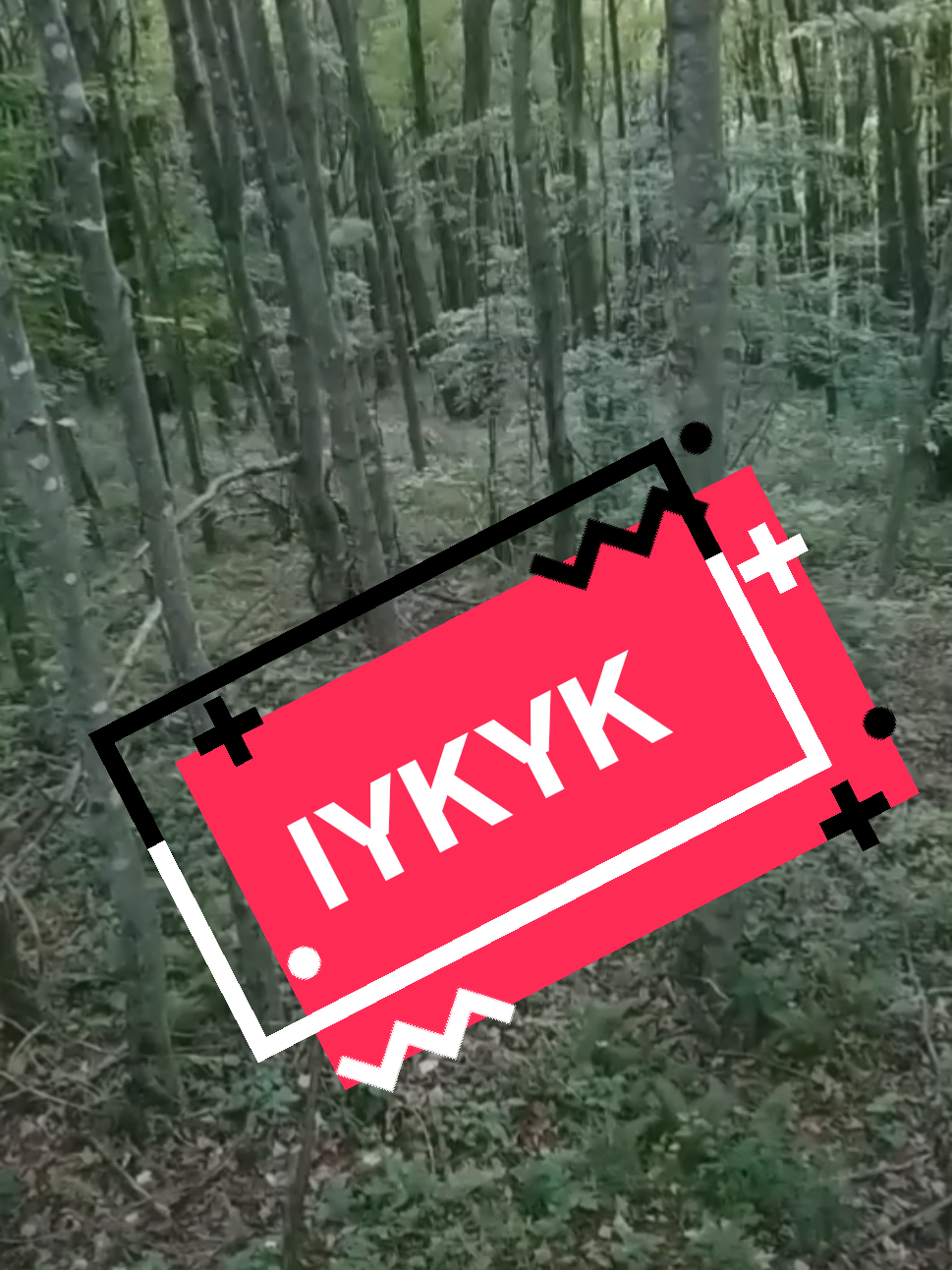 IYKYK! #hunting #huntingseason #woods #deer #deerhunting 