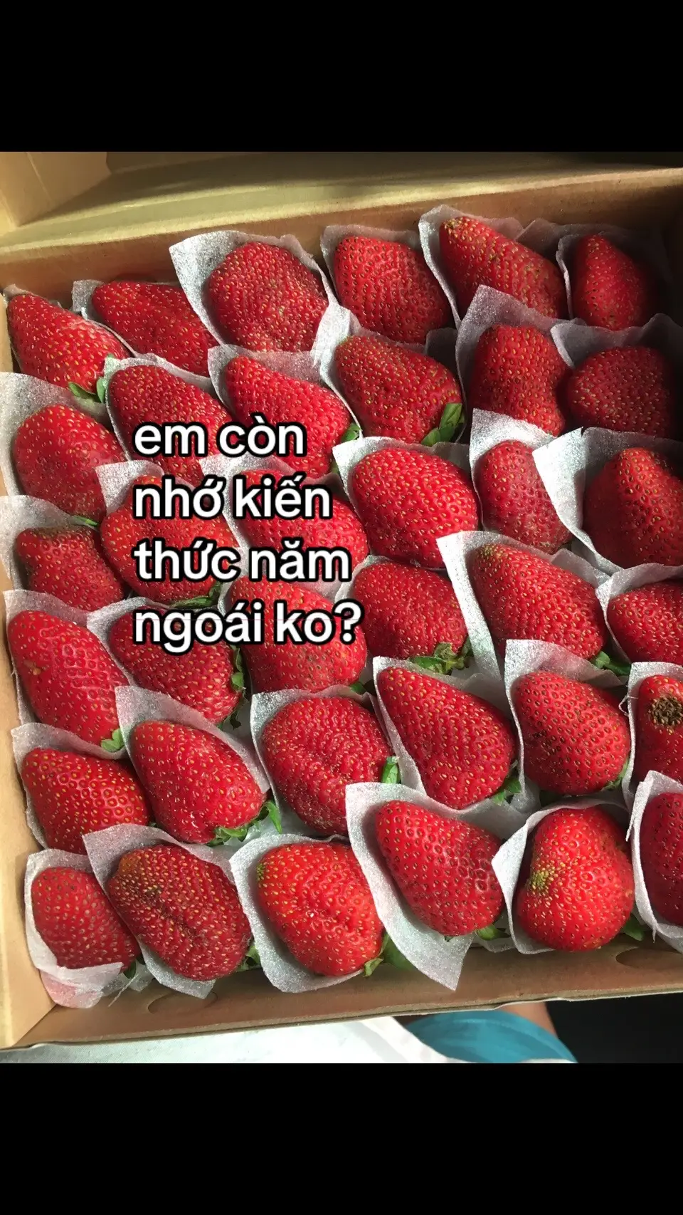 #xhtiktok #kiếnthức #xh #viral #xhhhhhhhhhhhhhhhhhhhhhhh  #xhuong #xhh #xhhhhhhhhhhhh 