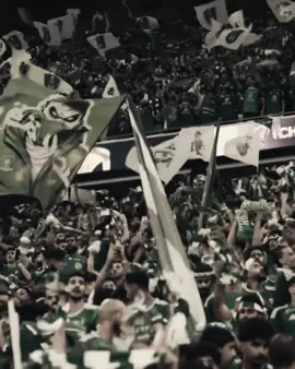 #alahli_fans💚 #alahlifc #fyp 