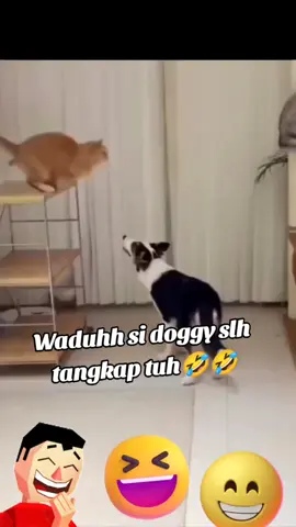 🤣🤣🤣🤣 #semogamasukfyp #fypviraltiktok🖤シ゚☆♡  #fypシ゚viral🖤tiktok #ngakakkocak #viralvideotiktok 