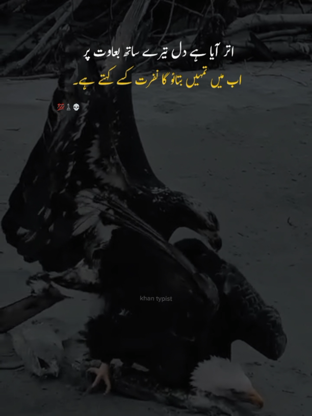 #CapCut ☝️😎🦅🦅🦅✅🎩👑EAGLE 🦅 KING👑, 🎩🦅✴️🌎, نظر جیسے آتے ہو وہی کردار بھی رکھو  دکھاوے کے لیے سر پر پگڑی اچھی نہیں ہوتی☝️😎🦅✴️#fyp #viral #CapCut #tiktoksupportme 