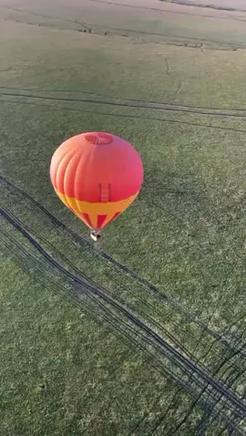 #goviralvideo 