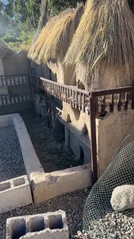 Visita a Arequipa, un palacio para un rey cuy 🙃 #tierrahermosa  #arequipa_peru🇵🇪  #parat 