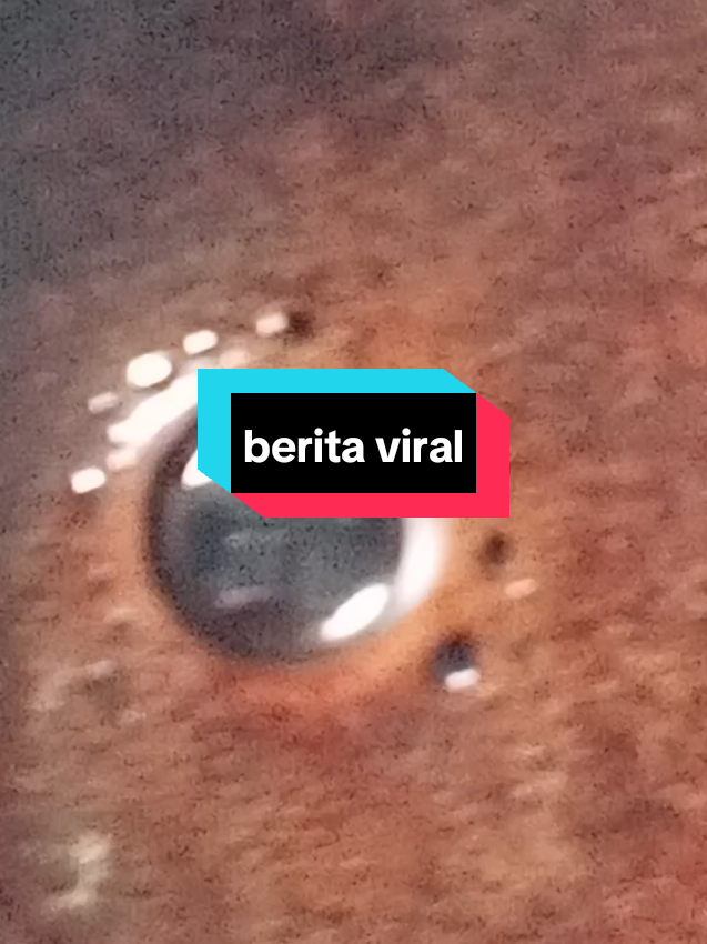 coba planet apa ini  #viral #beritaplanet #fyp 