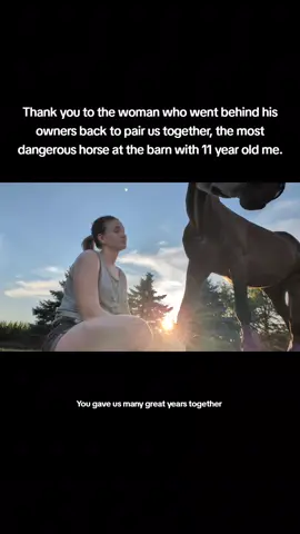 He was known to attack people but I wasn't told until long after I started loving him. I have to ask her sometime what she was thinking, I have no idea how she knew we would click but she knew. #hearthorse 