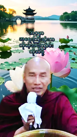 #သစ္စာရွှေစည်ဆရာတော်အရှင်ဥတ္တမ၏တရားတော် #တရားတော်များ #
