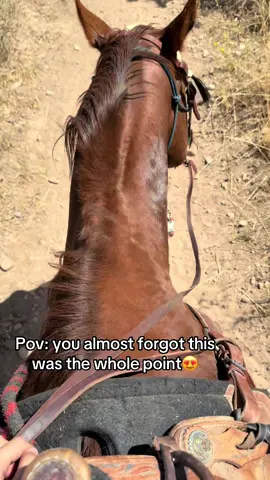 Was good to get out with Copper and Shorty 🫶🏼 #redhealer #cowdog #fypシ゚viral #fypppp #aqha 
