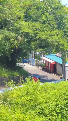 일본 애니에 자꾸 이런 마을이 나오는 이유,기타큐슈에서 찾았어요. 🥹 📍기타큐슈 사라쿠라 (皿倉山) 📸iPhone 13 Pro 기타큐슈 사라쿠라산은 일본 3대 절경으로 아주 유명한 곳인데요. 진짜 인상 깊었던 건 그 아래 마을 풍경이었어요.🥹 카메라 돌릴 때마다, 이 마을에서 비디오에 담은 모든 순간이 애니 속 마을 그 자체더라구요 :)