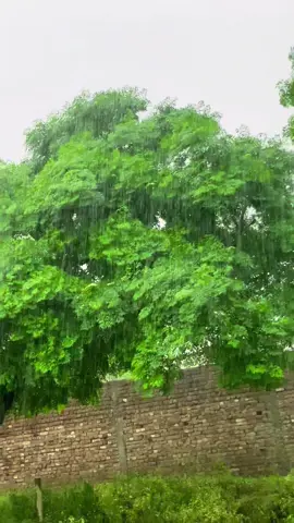 Hawa or Barish 🫣☁️🫠❤️‍🩹#pindawale #foryoupage #tiktokpakistan #1millionaudition #communitytiktok 